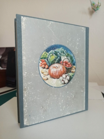 Plat arrière d'une reliure Bradel en parlante, toile verte